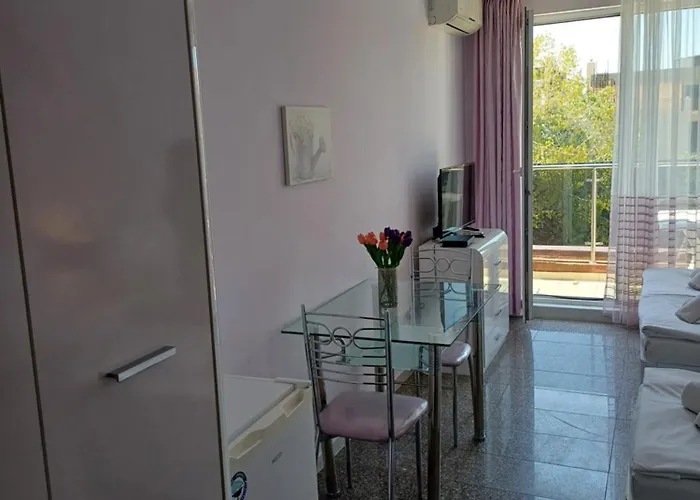 Admiral Plaza Premium 公寓 *